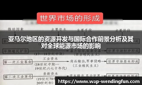 亚马尔地区的资源开发与国际合作前景分析及其对全球能源市场的影响