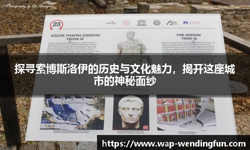 探寻索博斯洛伊的历史与文化魅力，揭开这座城市的神秘面纱