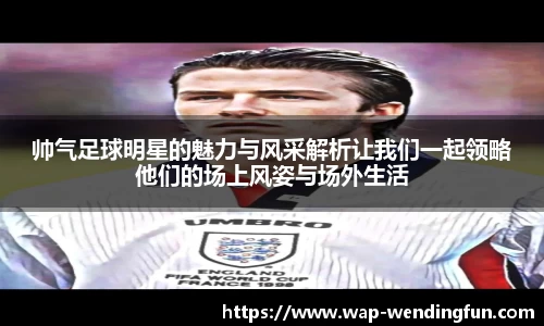 帅气足球明星的魅力与风采解析让我们一起领略他们的场上风姿与场外生活